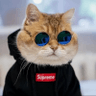 Ульян Вайцех