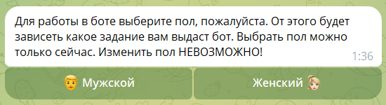 работа в боте