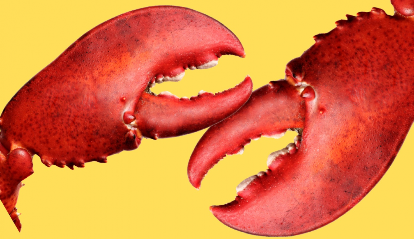 рекламная платформа Lobsters