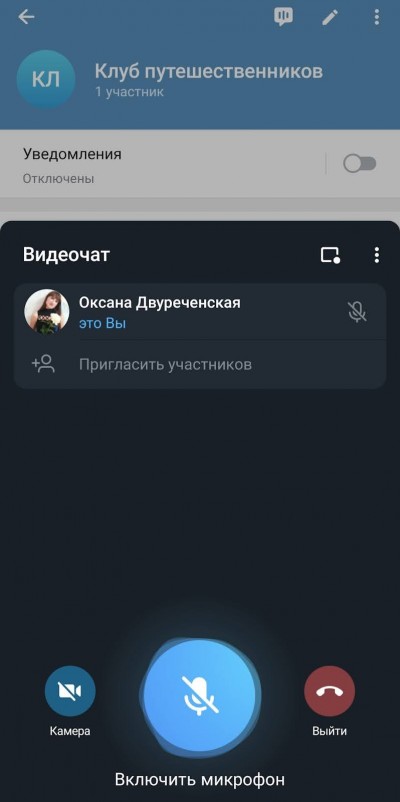 как выглядит видеочат в Телеграм