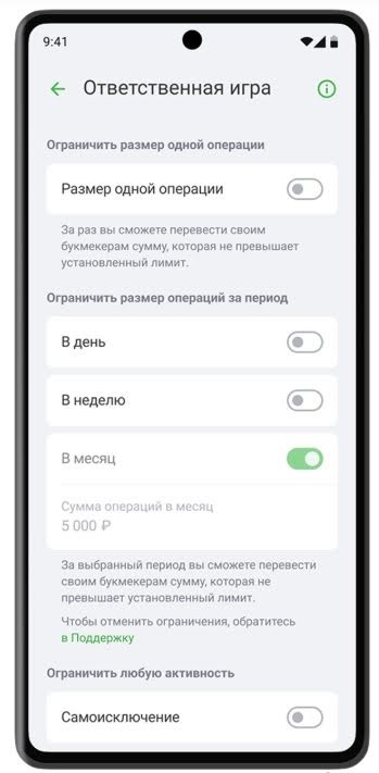 Ответственная игра ЦУПИС