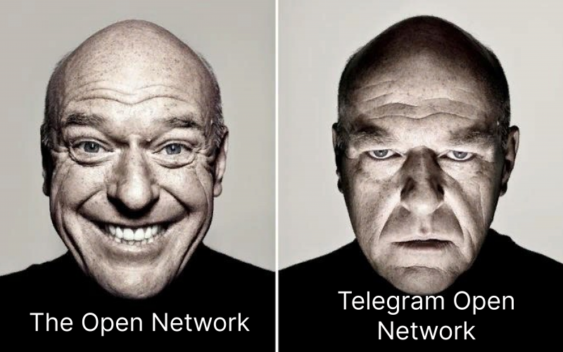 Open Network мем