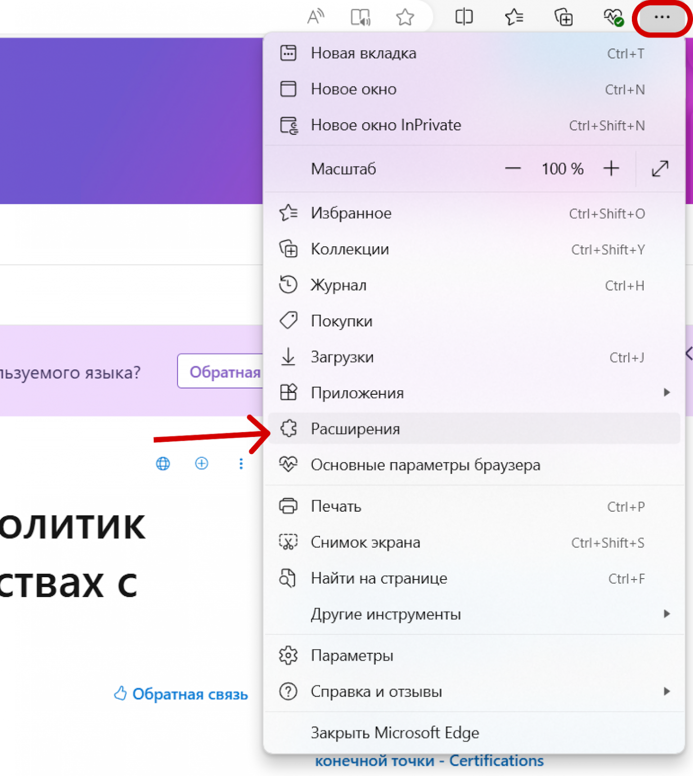 Путь к разделу расширений в браузере Microsoft Edge